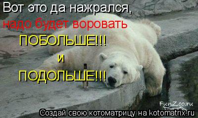 Вот это да нажрался, надо будет воровать ПОБОЛЬШЕ!!! и ПОДОЛЬШЕ!!!... Котоматрица: Вот это да нажрался, надо будет воровать ПОБОЛЬШЕ!!! и ПОДОЛЬШЕ!!!