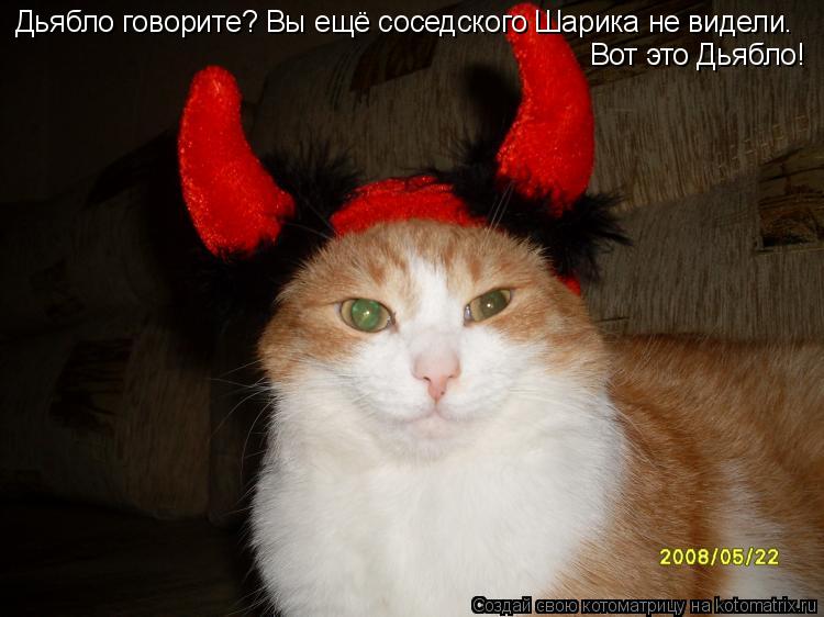 Дьябло говорите? Вы ещё соседского Шарика не видели. Вот это Дьябло!... Котоматрица: Дьябло говорите? Вы ещё соседского Шарика не видели. Вот это Дьябло!