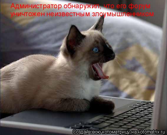 Администратор обнаружил, что его форум уничтожен неизвестным злоумышленником... Котоматрица: Администратор обнаружил, что его форум уничтожен неизвестным злоумышленником