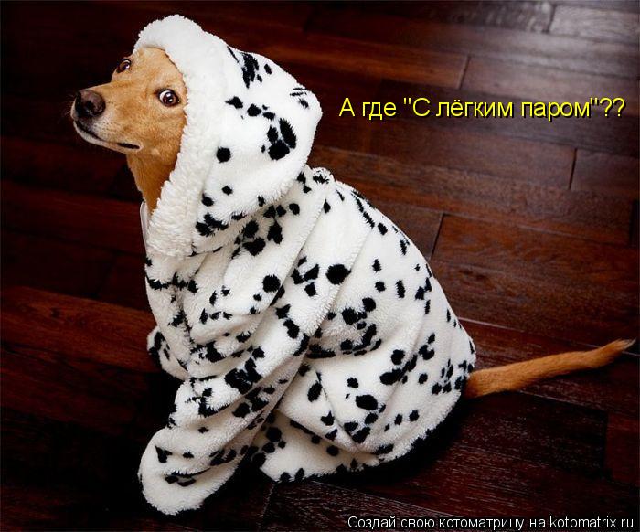 А где "С лёгким паром"??... Котоматрица: А где "С лёгким паром"??