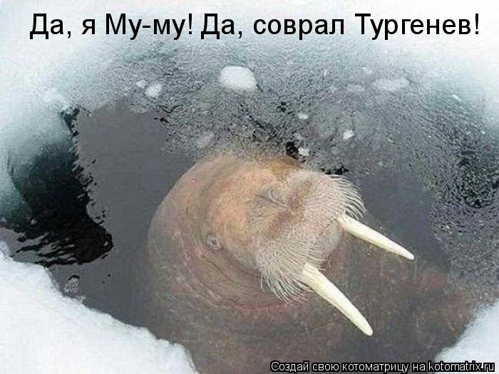 Да, я Му-му! Да, соврал Тургенев!... Котоматрица: Да, я Му-му! Да, соврал Тургенев!
