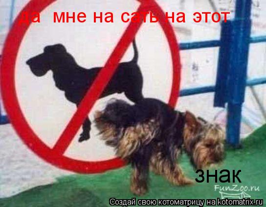 да мне на сать на этот да мне на сать на этот знак... Котоматрица: да мне на сать на этот да мне на сать на этот знак