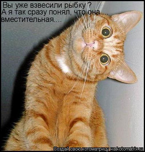 Вы уже взвесили рыбку ? вместительная.... А я так сразу понял, что она....... Котоматрица: Вы уже взвесили рыбку ? вместительная.... А я так сразу понял, что она....