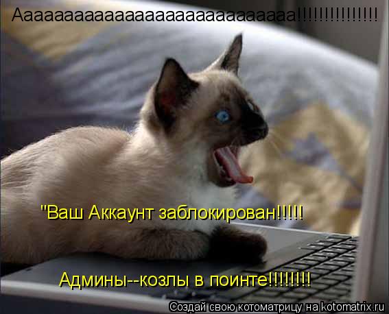 Аааааааааааааааааааааааааааа!!!!!!!!!!!!!!! "Ваш Аккаунт заблокирован!!!!! Админы--козлы в поинте!!!!... Котоматрица: Аааааааааааааааааааааааааааа!!!!!!!!!!!!!!! "Ваш Аккаунт заблокирован!!!!! Админы--козлы в поинте!!!!!!!!