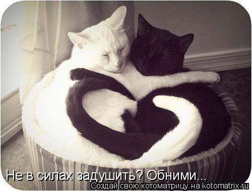 Не в силах задушить? Обними...... Котоматрица: Не в силах задушить? Обними...