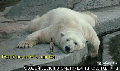 Вот блин, опять спился...... Котоматрица: Вот блин, опять спился...