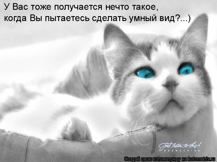 У Вас тоже получается нечто такое, когда Вы пытаетесь сделать умный вид?...)... Котоматрица: У Вас тоже получается нечто такое, когда Вы пытаетесь сделать умный вид?...)
