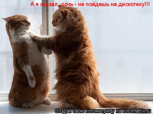 А я сказал, дочь - не пойдешь на дискотеку!!!... Котоматрица: А я сказал, дочь - не пойдешь на дискотеку!!!