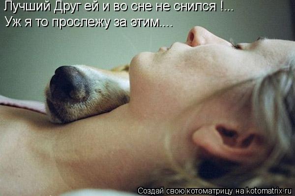 Лучший Друг ей и во сне не снился !... Уж я то прослежу за этим....... Котоматрица: Лучший Друг ей и во сне не снился !... Уж я то прослежу за этим....