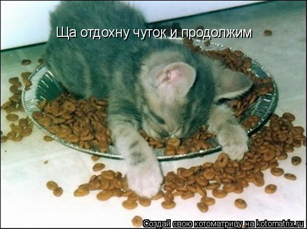 Ща отдохну чуток и продолжим... Котоматрица: Ща отдохну чуток и продолжим