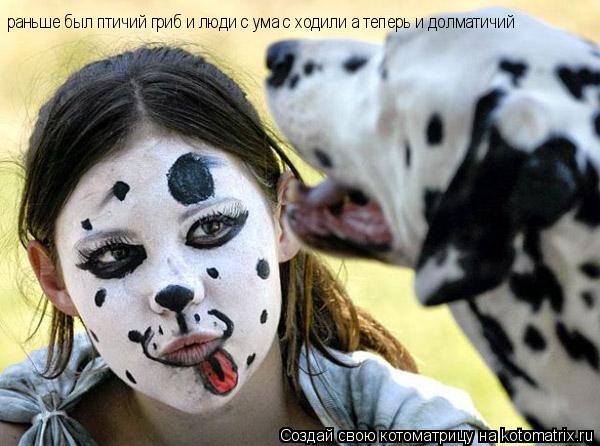 раньше был птичий гриб и люди с ума с ходили а теперь и долматичий... Котоматрица: раньше был птичий гриб и люди с ума с ходили а теперь и долматичий