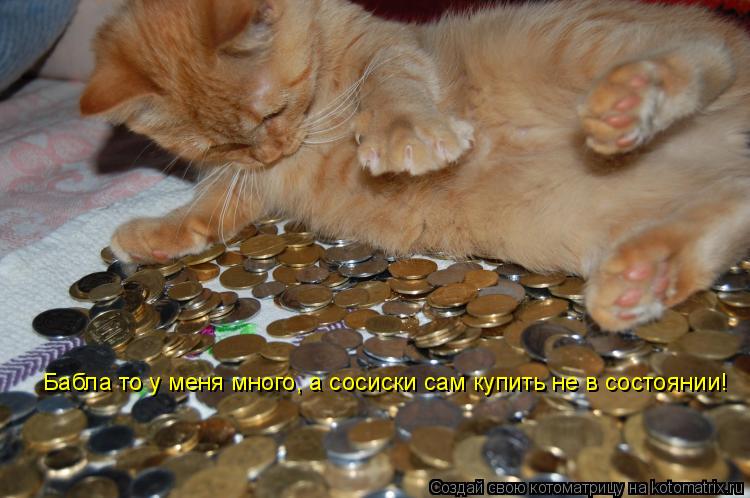 Бабла то у меня много, а сосиски сам купить не в состоянии!... Котоматрица: Бабла то у меня много, а сосиски сам купить не в состоянии!