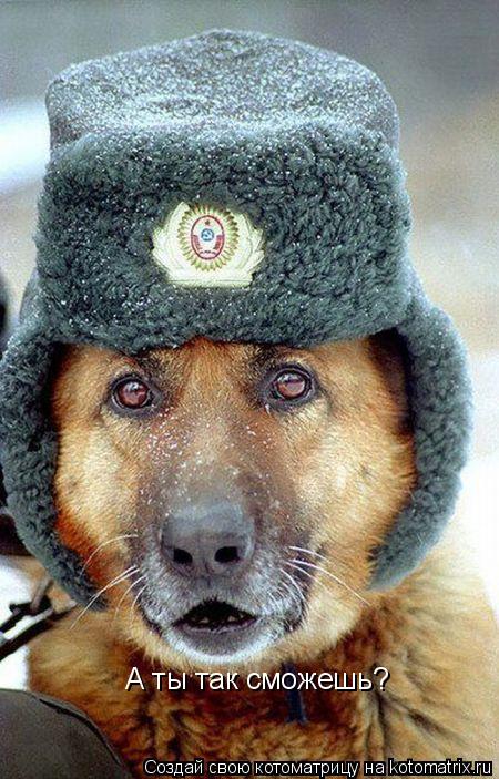 А ты так сможешь?... Котоматрица: А ты так сможешь?