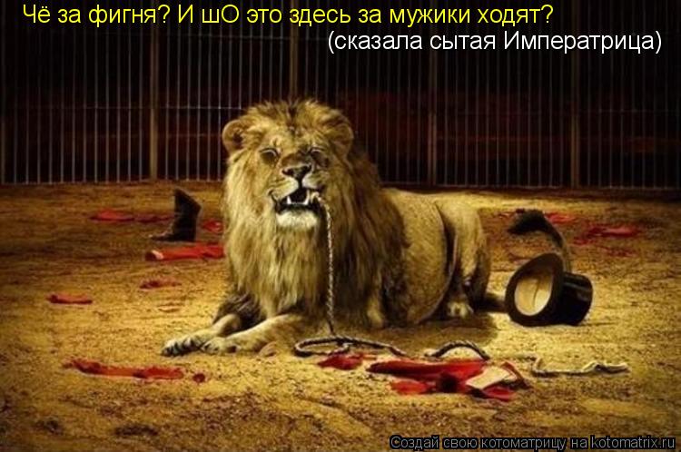 Чё за фигня? И шО это здесь за мужики ходят? (сказала сытая Императрица)... Котоматрица: Чё за фигня? И шО это здесь за мужики ходят? (сказала сытая Императрица)