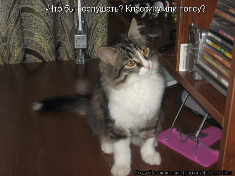 -Что бы послушать? Классику или попсу? И всё-таки классику -Что бы послушать? Классику или попсу?... Котоматрица: -Что бы послушать? Классику или попсу? И всё-таки классику -Что бы послушать? Классику или попсу?