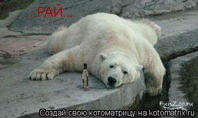 ...РАЙ...... Котоматрица: ...РАЙ...