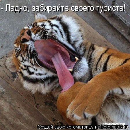 - Ладно, забирайте своего туриста!... Котоматрица: - Ладно, забирайте своего туриста!