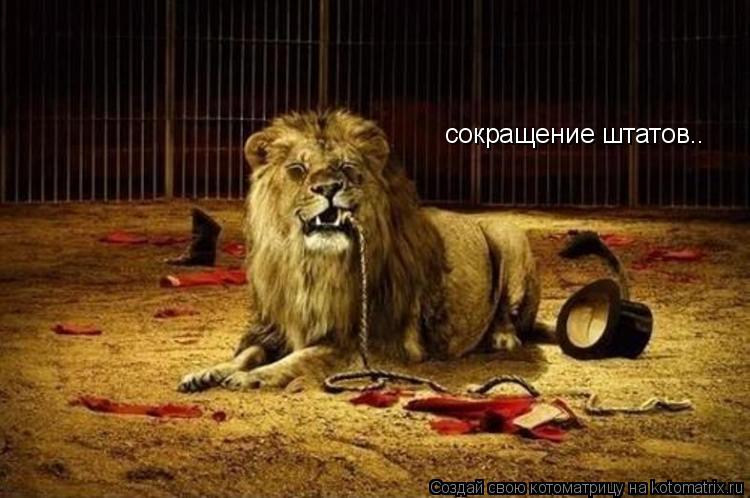 сокращение штатов..... Котоматрица: сокращение штатов..