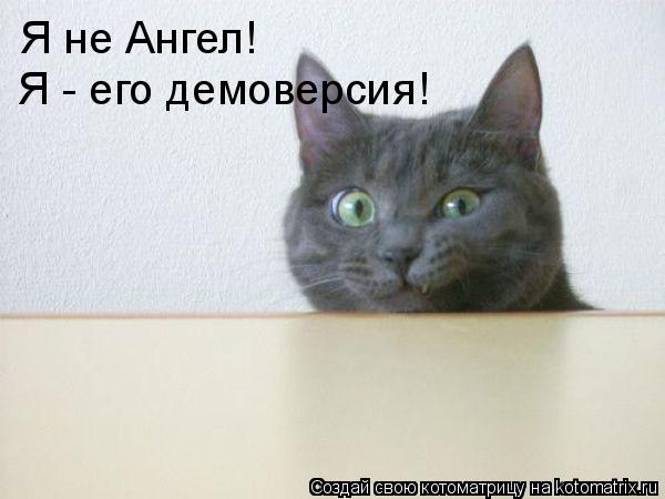 Я не Ангел! Я - его демоверсия!... Котоматрица: Я не Ангел! Я - его демоверсия!