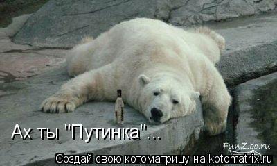 Ах ты "Путинка"...... Котоматрица: Ах ты "Путинка"...