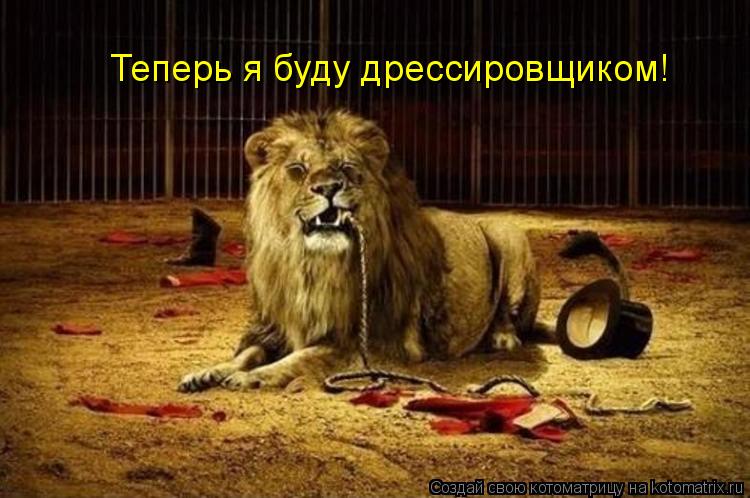 Теперь я буду дрессировщиком!... Котоматрица: Теперь я буду дрессировщиком!