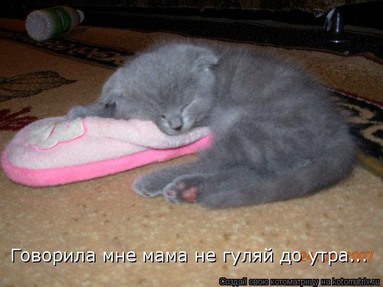 Говорила мне мама не гуляй до утра...... Котоматрица: Говорила мне мама не гуляй до утра...