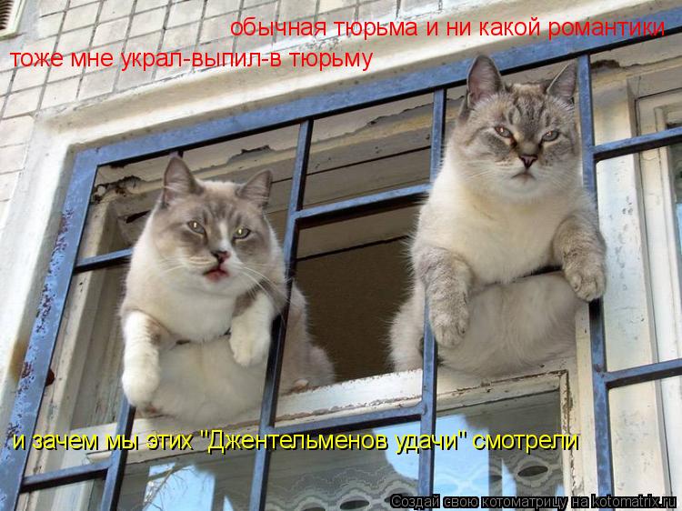обычная тюрьма и ни какой романтики тоже мне украл-выпил-в тюрьму и зачем мы этих "Джентельменов удач... Котоматрица: обычная тюрьма и ни какой романтики тоже мне украл-выпил-в тюрьму и зачем мы этих "Джентельменов удачи" смотрели
