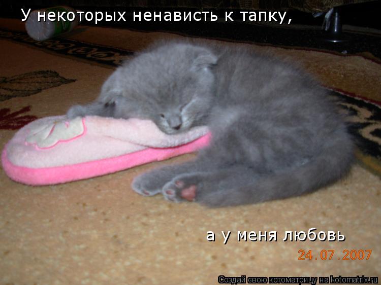 У некоторых ненависть к тапку, а у меня любовь... Котоматрица: У некоторых ненависть к тапку, а у меня любовь