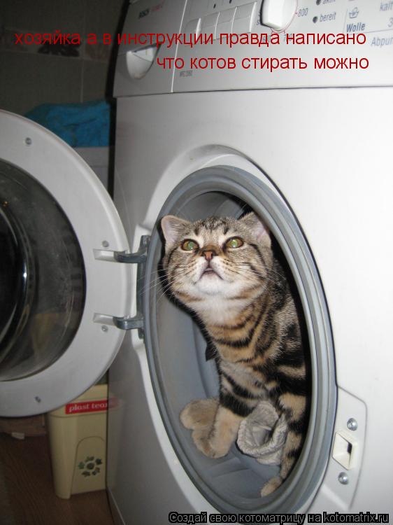 хозяйка а в инструкции правда написано что котов стирать можно... Котоматрица: хозяйка а в инструкции правда написано что котов стирать можно