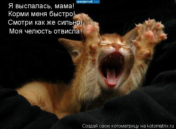 Я выспалась, мама! Корми меня быстро! Смотри как же сильно! Моя челюсть отвисла!... Котоматрица: Я выспалась, мама! Корми меня быстро! Смотри как же сильно! Моя челюсть отвисла!