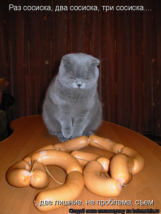 Раз сосиска, два сосиска, три сосиска.... ..две лишние, не проблема, съем... Котоматрица: Раз сосиска, два сосиска, три сосиска.... ..две лишние, не проблема, съем
