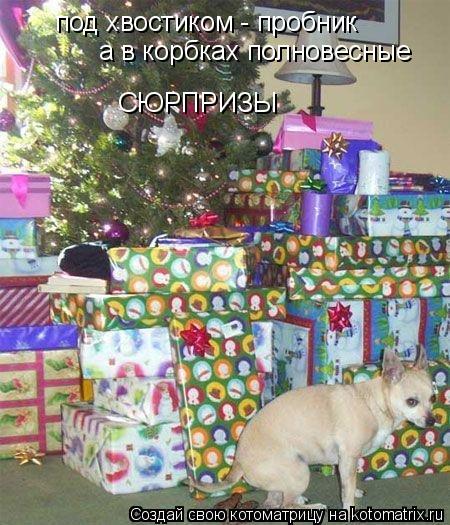 под хвостиком - пробник а в корбках полновесные СЮРПРИЗЫ... Котоматрица: под хвостиком - пробник а в корбках полновесные СЮРПРИЗЫ