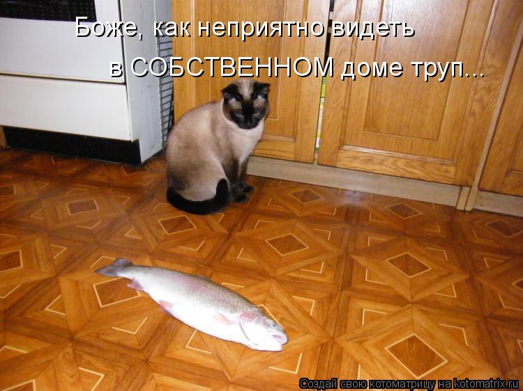 Боже, как неприятно видеть в СОБСТВЕННОМ доме труп...... Котоматрица: Боже, как неприятно видеть в СОБСТВЕННОМ доме труп...