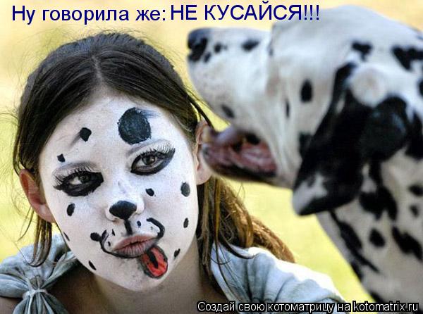 Ну говорила же: НЕ КУСАЙСЯ!!!... Котоматрица: Ну говорила же: НЕ КУСАЙСЯ!!!