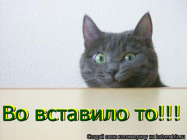 Во вставило то!!! Во вставило то!!!... Котоматрица: Во вставило то!!! Во вставило то!!!