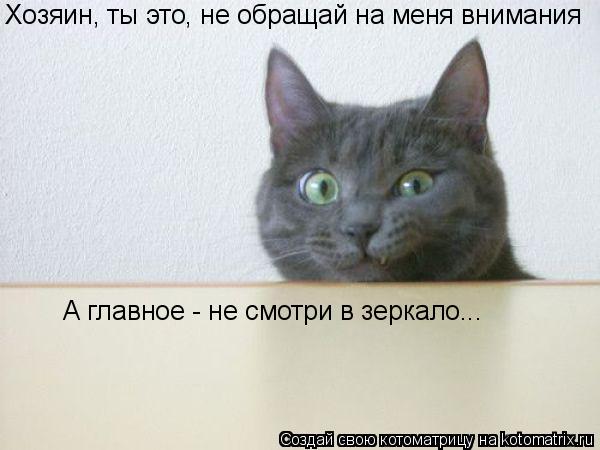 Хозяин, ты это, не обращай на меня внимания А главное - не смотри в зеркало...... Котоматрица: Хозяин, ты это, не обращай на меня внимания А главное - не смотри в зеркало...