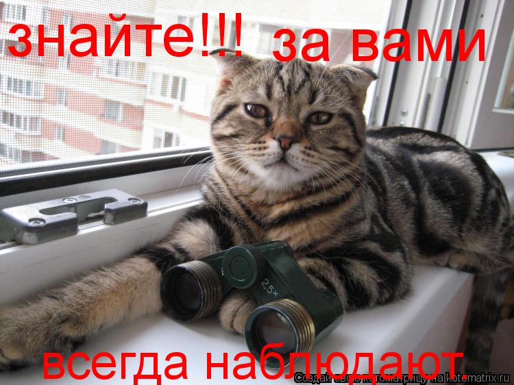 знайте!!! за вами всегда наблюдают.... Котоматрица: знайте!!! за вами всегда наблюдают.