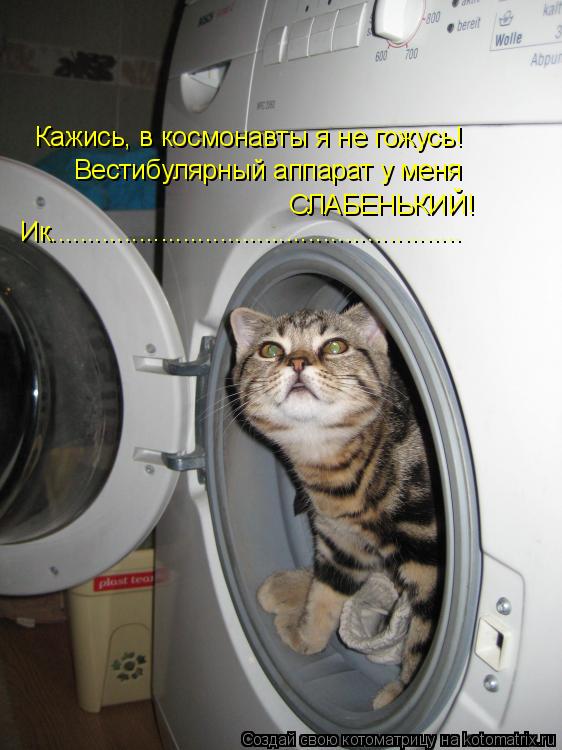 Кажись, в космонавты я не гожусь! Вестибулярный аппарат у меня СЛАБЕНЬКИЙ! Ик.......................... Котоматрица: Кажись, в космонавты я не гожусь! Вестибулярный аппарат у меня СЛАБЕНЬКИЙ! Ик........................................................