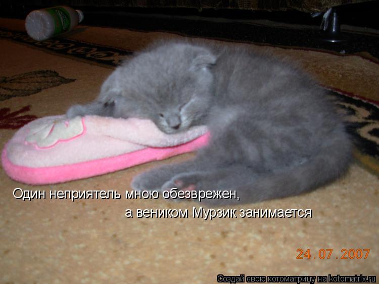 Один неприятель мною обезврежен, а веником Мурзик занимается... Котоматрица: Один неприятель мною обезврежен, а веником Мурзик занимается