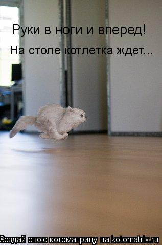 Руки в ноги и вперед! На столе котлетка ждет...... Котоматрица: Руки в ноги и вперед! На столе котлетка ждет...