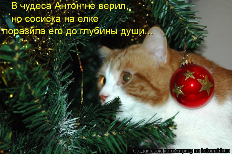 В чудеса Антон не верил, но сосиска на елке поразила его до глубины души...... Котоматрица: В чудеса Антон не верил, но сосиска на елке поразила его до глубины души...