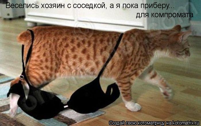 Веселись хозяин с соседкой, а я пока приберу... для компромата... Котоматрица: Веселись хозяин с соседкой, а я пока приберу... для компромата