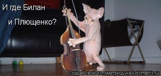 И где Билан и Плющенко?... Котоматрица: И где Билан и Плющенко?