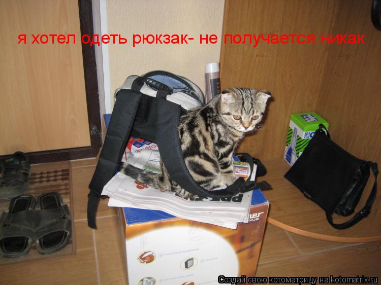 я хотел одеть рюкзак- не получается никак... Котоматрица: я хотел одеть рюкзак- не получается никак