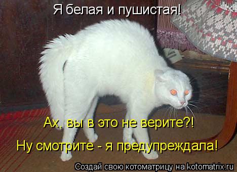 Котоматрица: Я белая и пушистая! Ах, вы в это не верите?! Ну смотрите - я предупреждала!