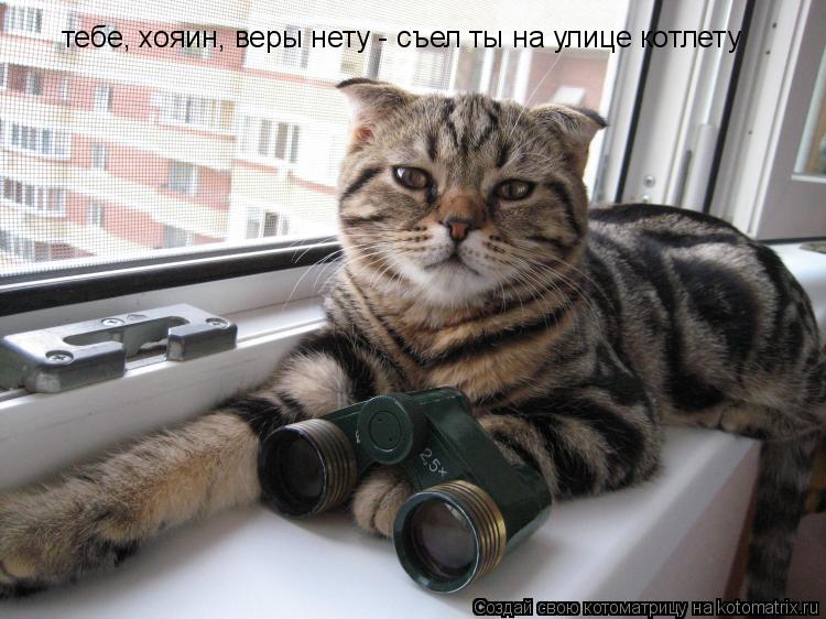 Котоматрица: тебе, хояин, веры нету - съел ты на улице котлету