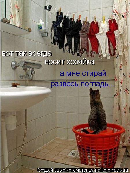 Котоматрица: вот так всегда  носит хозяйка а мне стирай, развесь,погладь...