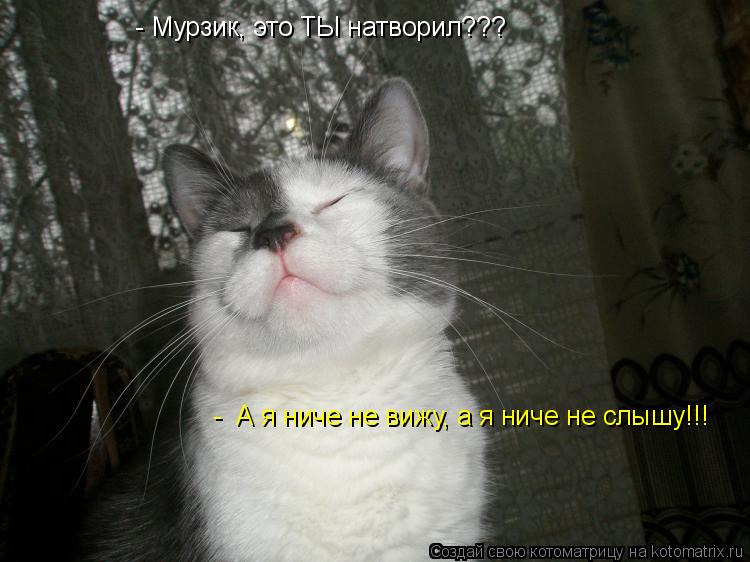 Котоматрица: - Мурзик, это ТЫ натворил??? -  А я ниче не вижу, а я ниче не слышу!!!