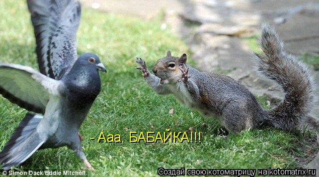 - Ааа, БАБАЙКА!!!... Котоматрица: - Ааа, БАБАЙКА!!!