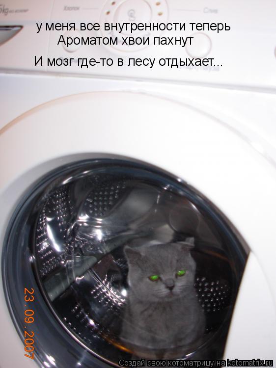 у меня все внутренности теперь Ароматом хвои пахнут И мозг где-то в лесу отдыхает...... Котоматрица: у меня все внутренности теперь Ароматом хвои пахнут И мозг где-то в лесу отдыхает...